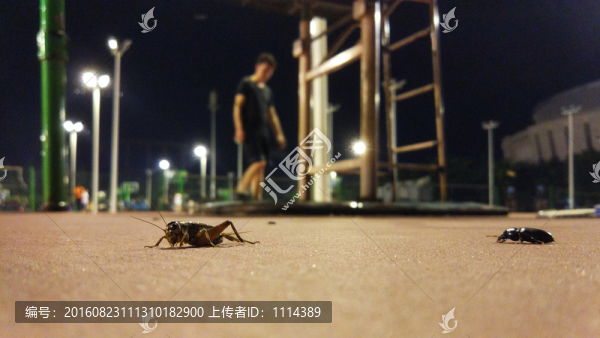 夜