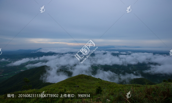 云海,云霧,高山