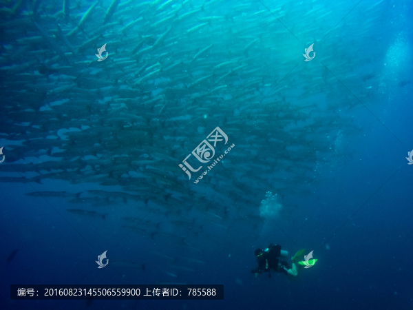 海狼風(fēng)暴