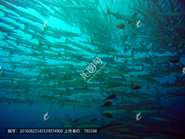 海狼風暴