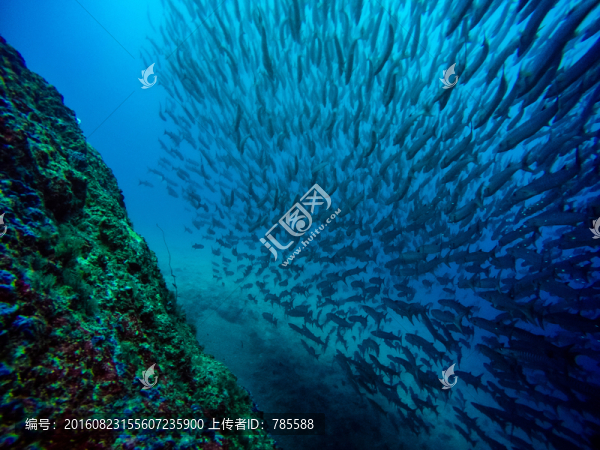 海狼風(fēng)暴
