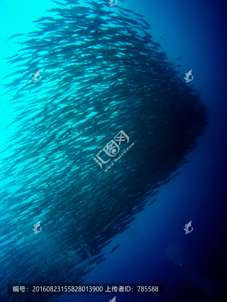 海狼風(fēng)暴
