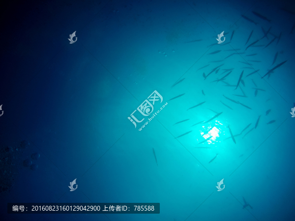 海底世界