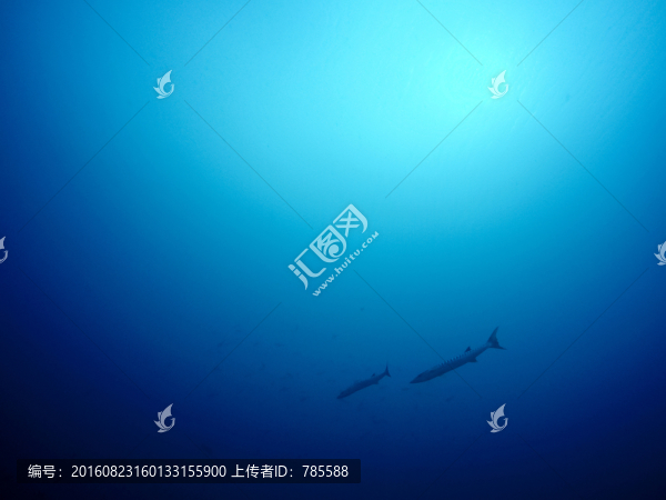 海底世界