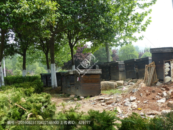 養(yǎng)蜂場(chǎng),蜜蜂養(yǎng)殖