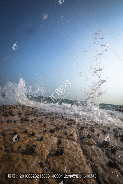 龜齡島