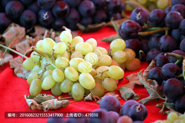 葡萄,水果