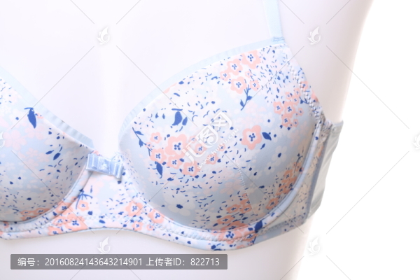 內(nèi)衣模特