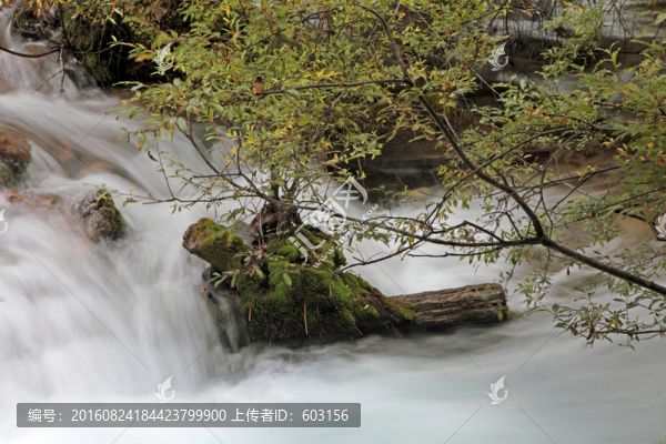 九寨溝