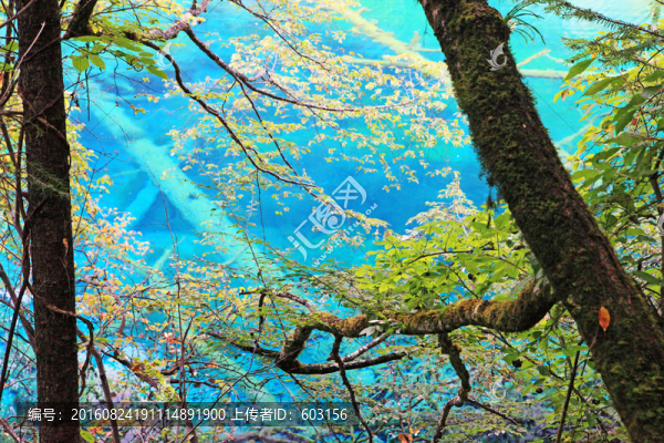 九寨溝