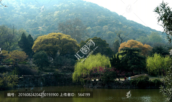 青山綠水