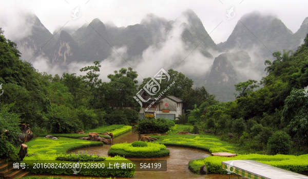 綠色山林