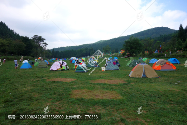 草坪,帳篷,露營,避暑