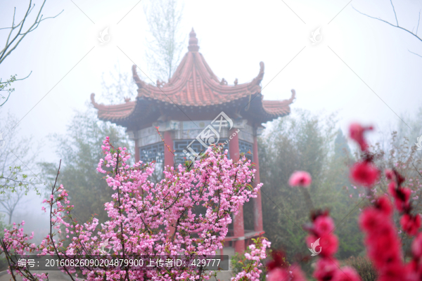 園林建筑,,園林景觀