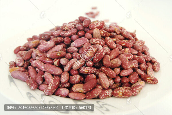 大蕓豆2
