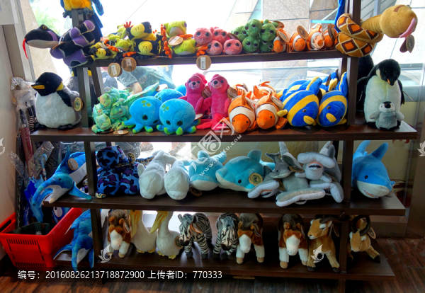 玩具,玩具店,玩具專柜
