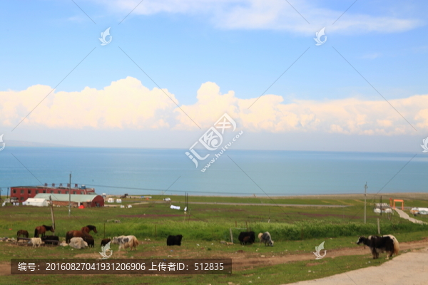 青海湖