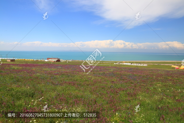 青海湖