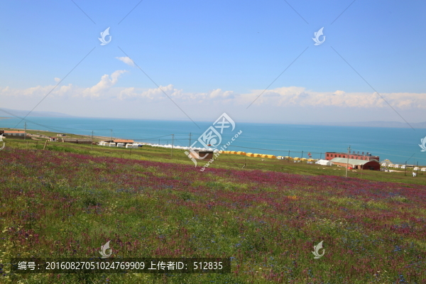 青海湖