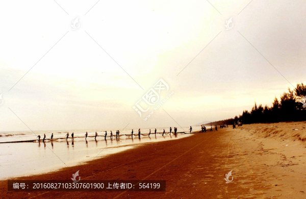 海邊拉網(wǎng)