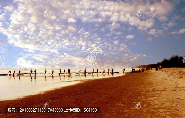 海灘拉網(wǎng)