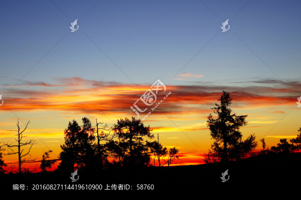 原始林朝霞