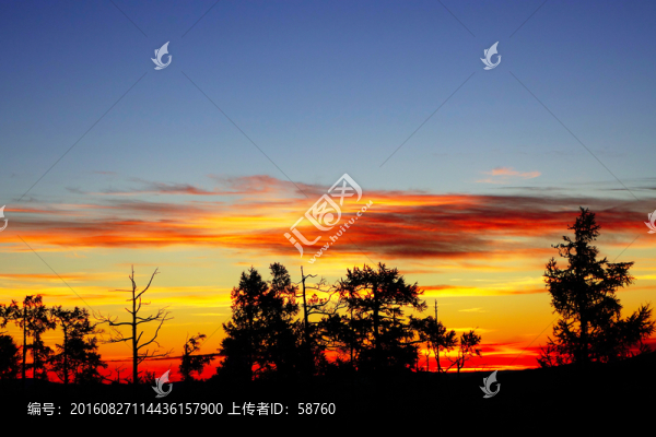 原始林朝霞