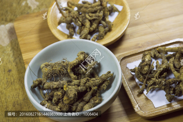草藥中藥黃琴