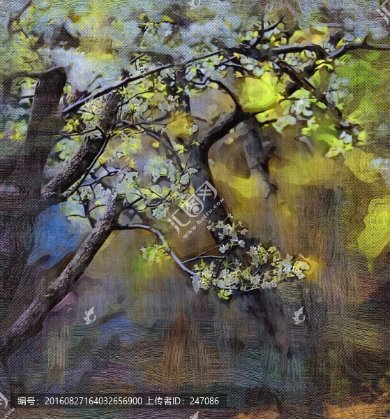 梨花,油畫