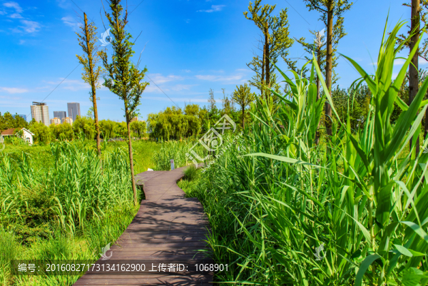 日照植物園