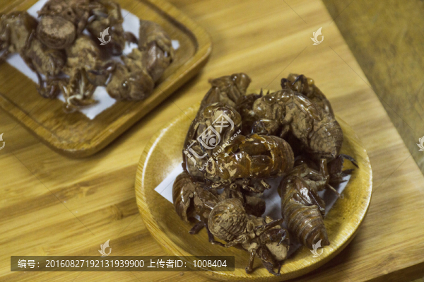 木盤子裝的蟲蛻