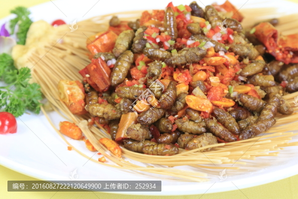 干煸蠶蛹