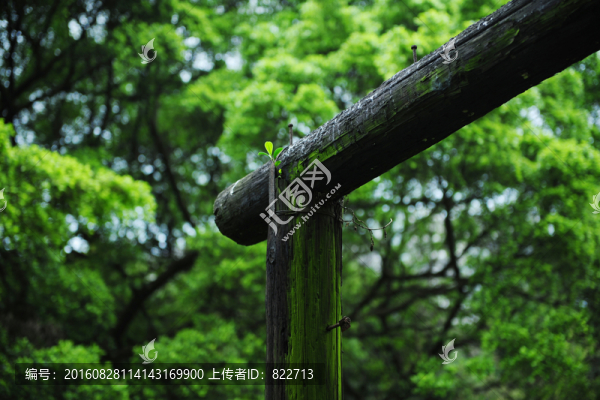 木樁