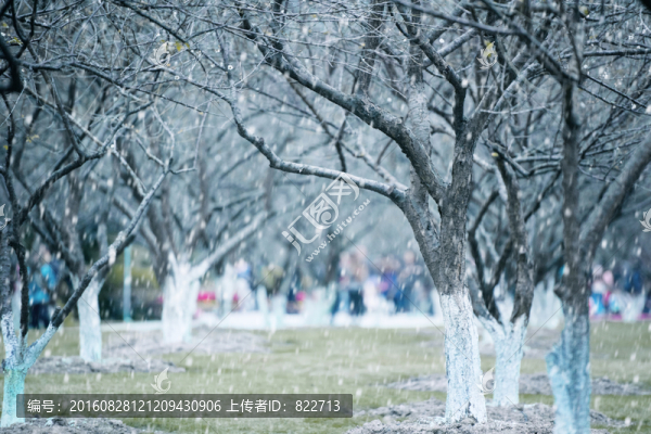 香雪公園