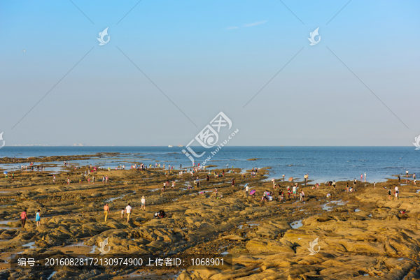 趕海園