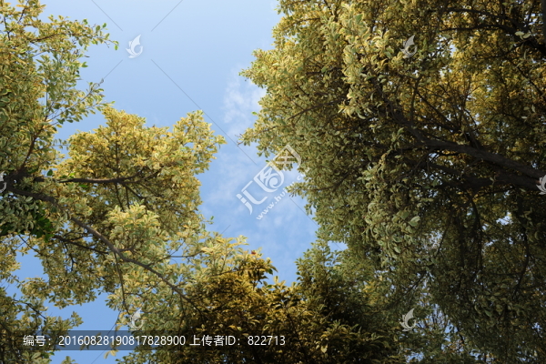 公園秋色