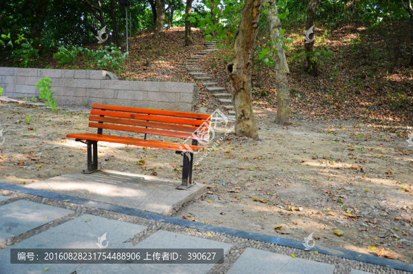 樹林里的椅子