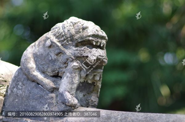 屋脊獸