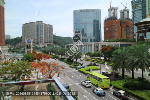 澳門風(fēng)光,澳氹新城區(qū)