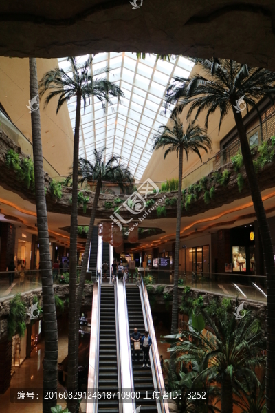 澳門風(fēng)光,澳氹新城區(qū)