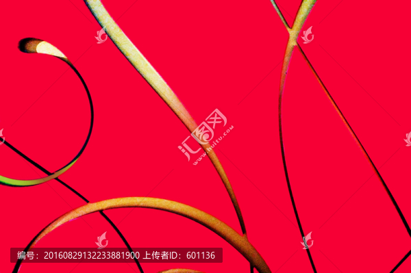 背景墻底紋紋理