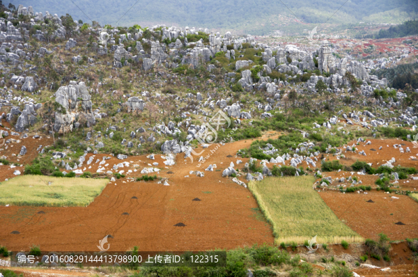 云南石林