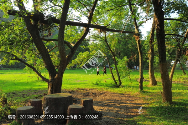 公園景觀