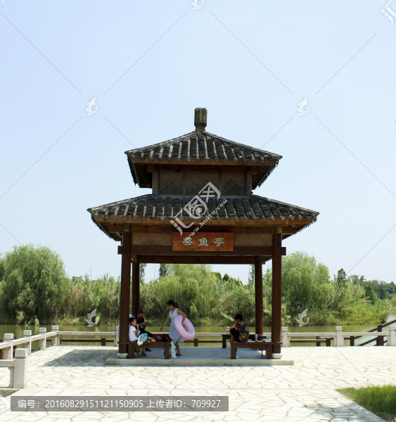 蘇州,國(guó)家濕地公園,濕地公園