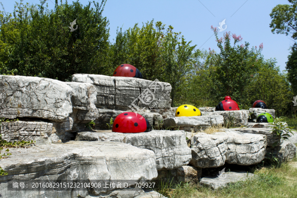 蘇州,國家濕地公園,濕地公園