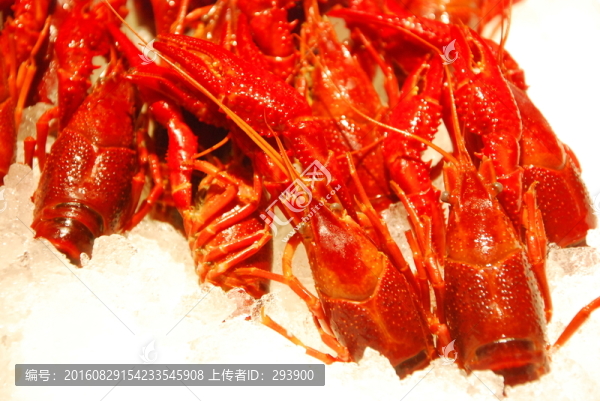 冰鎮(zhèn)白灼小龍蝦