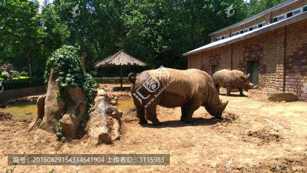 動(dòng)物園里的犀牛