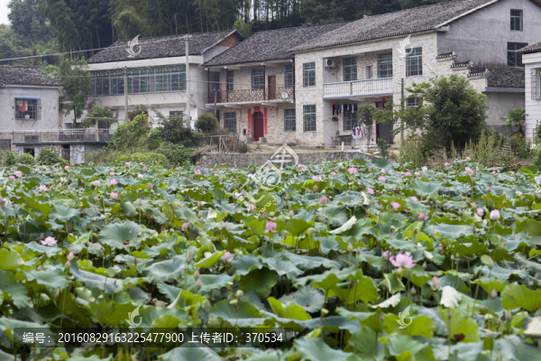 張谷英村