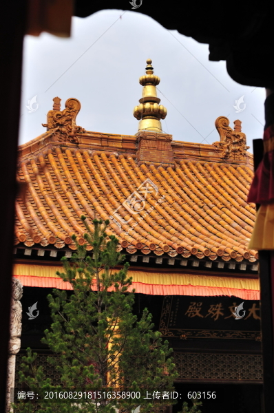 五臺(tái)山