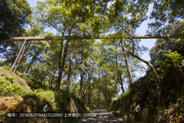 君山島風(fēng)景區(qū)